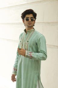 PISTA MAYUR MILAP SELECTED DESIGNER KURTA